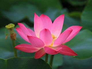 日常拍攝 隨時(shí)更新（個(gè)人主頁-ZMzcwMzM0NA==） - 其他攝影 - 站酷設(shè)計(jì)師然生原創(chuàng)素材 - 站酷ZCOOL