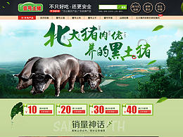 壹号土猪通用首页