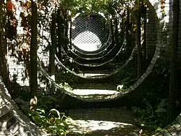 高级新派易理设计师杨建锋字清时