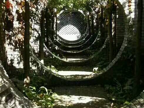 高级新派易理设计师杨建锋字清时