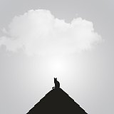jean_bule的头像