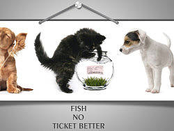 火车票的那点事儿