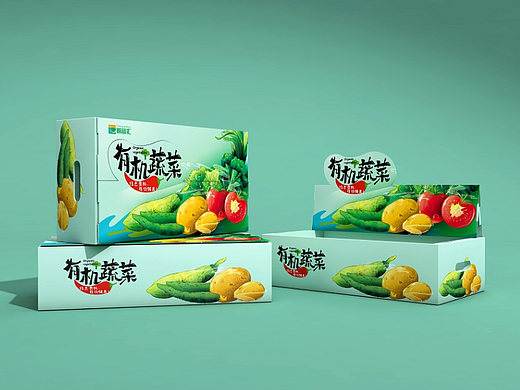 "有机蔬菜"包装箱设计