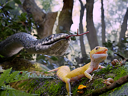 溜|第三屆瑞云渲染動畫創(chuàng)作大賽