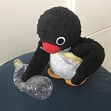 黑伞k的头像