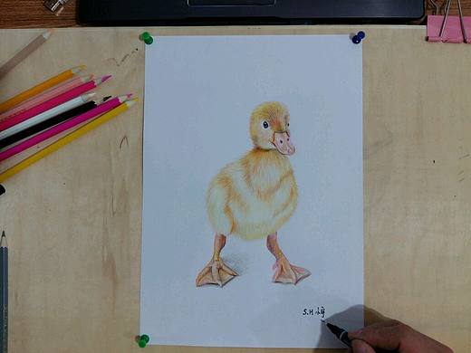 第一次用彩铅画，还缺功夫，望有大师讲解。