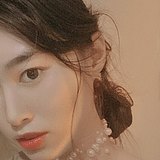 钒叔的猫的头像