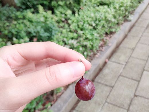 润（个人主页-ZMzYxNzIzNTI=） - 产品摄影 - 站酷设计师ZoeTeng原创素材 - 站酷ZCOOL