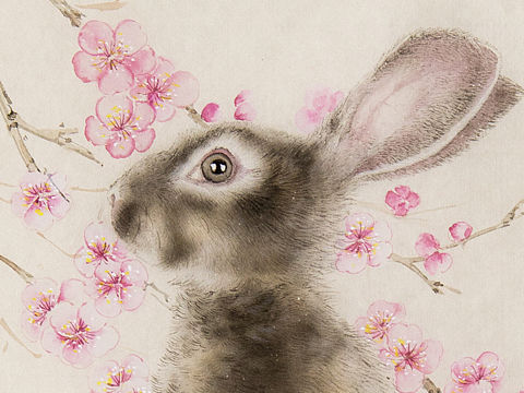 梅花雙兔 黃云亮國(guó)畫(huà)畫(huà)兔（個(gè)人主頁(yè)-ZNTkyNjQzNzY=） - 繪畫(huà) - 站酷設(shè)計(jì)師水墨畫(huà)家黃云亮原創(chuàng)素材 - 站酷ZCOOL