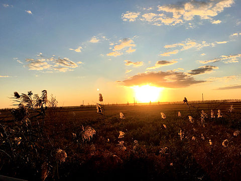 暮光。大美家乡（个人主页-ZMjQyMjI2NDA=） - 风光摄影 - 站酷设计师_Molly原创素材 - 站酷ZCOOL