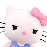 孙月亮s的头像