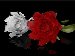 C4D建模練習(xí)——花