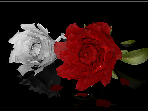 C4D建模练习——花（个人主页-ZMjEwODAxMjQ=） - 其他三维 - 站酷设计师TANG1202原创素材 - 站酷ZCOOL