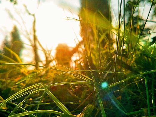 乡下农村下午（个人主页-ZNTE2NzQxODA=） - 风光摄影 - 站酷设计师寒尽影原创素材 - 站酷ZCOOL