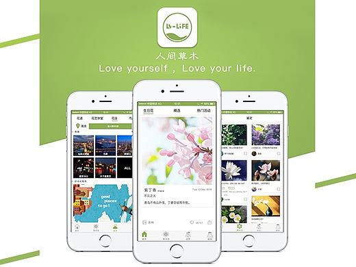 人间草木app—一款植物识别的与插花交流学习的app  