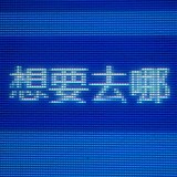 支愣起来的头像