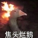 鹅SENRI的头像