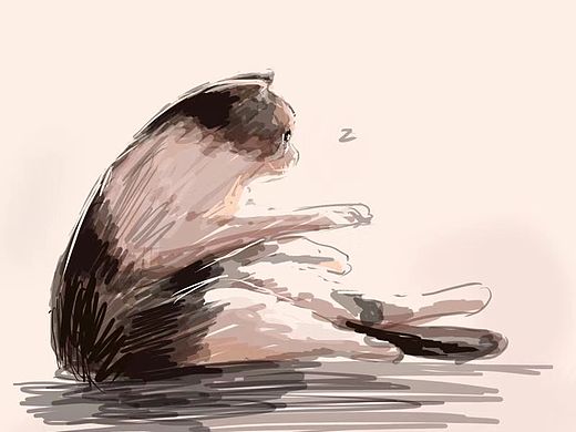猫