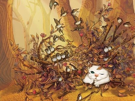 遇见猫