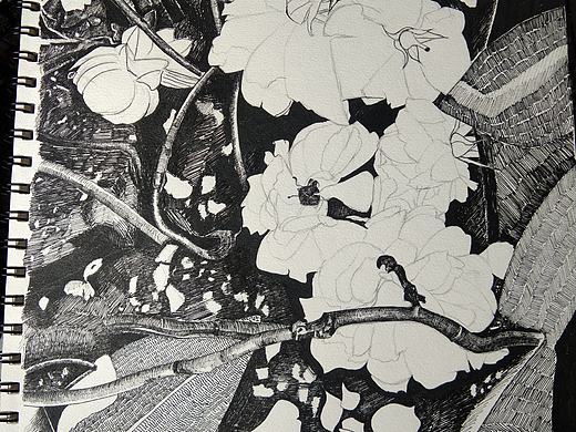 一点点进步吧（个人主页-ZNTc0MTAyMzY=） - 绘画 - 站酷设计师哦我觉得吧原创素材 - 站酷ZCOOL