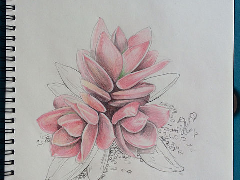 美的事物（個(gè)人主頁(yè)-ZMTU2MzQwMjQ=） - 繪畫 - 站酷設(shè)計(jì)師Nicole_MG原創(chuàng)素材 - 站酷ZCOOL