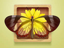 临摹一稿——Redkid《春意》