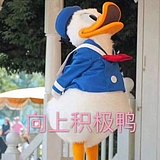 even洛的头像