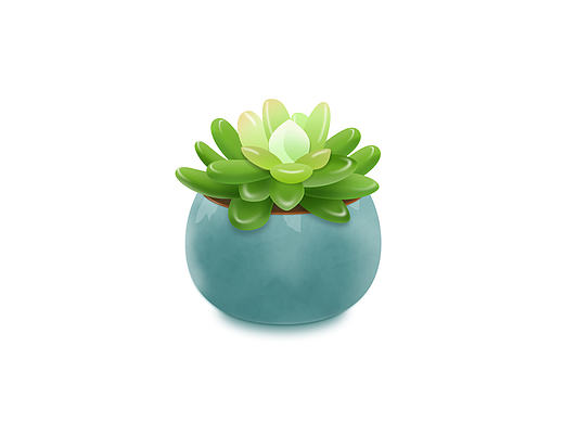 植物,萝卜