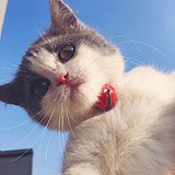 sueva的头像