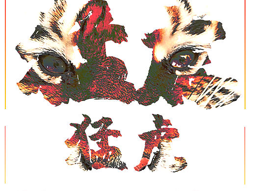 虎年