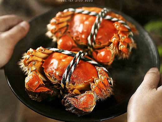 秋风起 蟹脚痒 大闸蟹拍摄