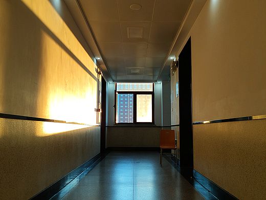 人面桃花相应红