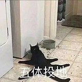 大闲人的头像