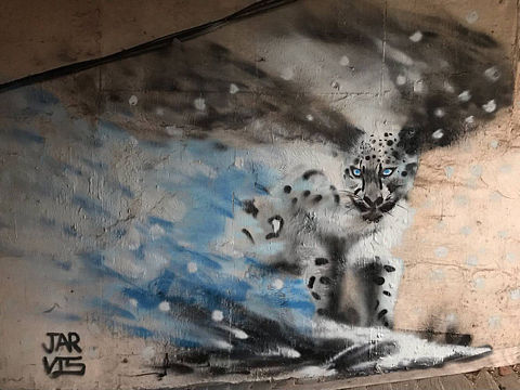 Graffiti——雪豹（个人主页-ZMzQzNDczMzY=） - 其他 - 站酷设计师李Jarvis原创素材 - 站酷ZCOOL