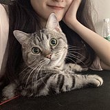 Hana_秋的头像