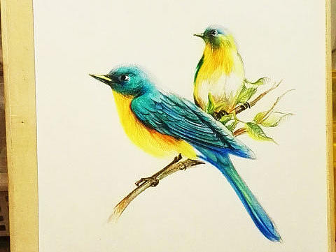 花鸟彩铅装饰画