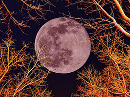 冬季的满月，月亮，圆月