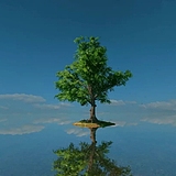 曾有青春聚花成海的头像