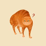 花猫侦探的头像