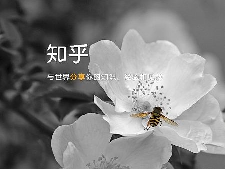 知乎登陆界面