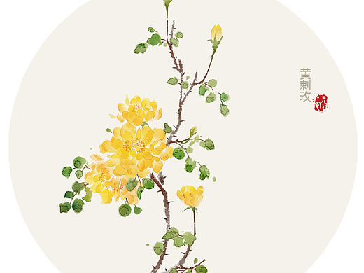 莳花。十