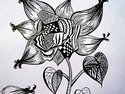 四大变化之--植物