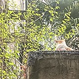 林夕口一的头像