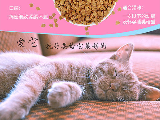猫粮详情页 成猫粮详情设计 幼猫粮详情页设计 宠物干粮详情设计