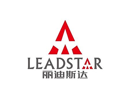 丽迪斯达 LOGO设计