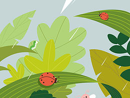 24节气 手绘创意图 陆续更新