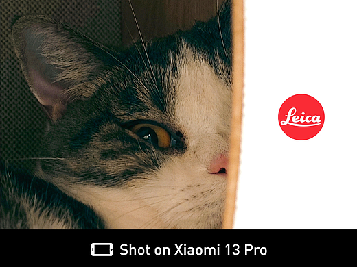 Shot on Xiaomi 13 Pro