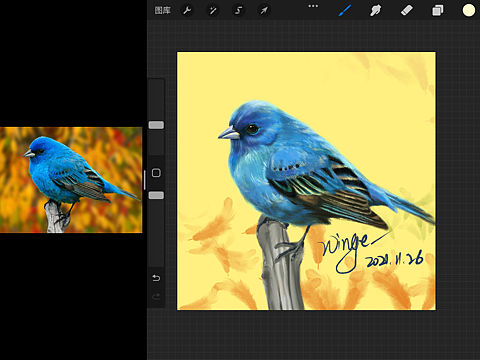 procreate