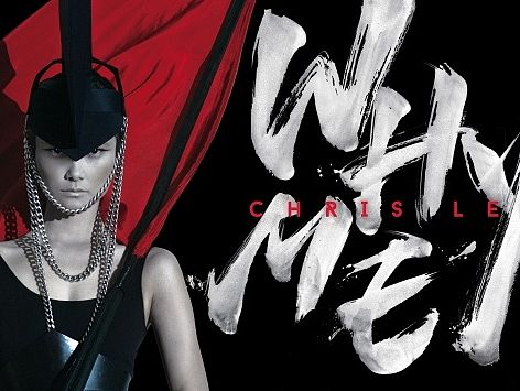 2015李宇春Whyme演唱会海报主视觉及周边产品小结