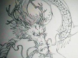 龙